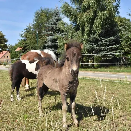 度假居 Gutshof Detershagen L Kröpelin