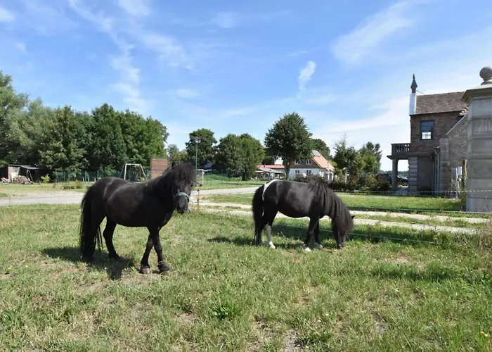 Gutshof Detershagen L Σπίτι διακοπών *