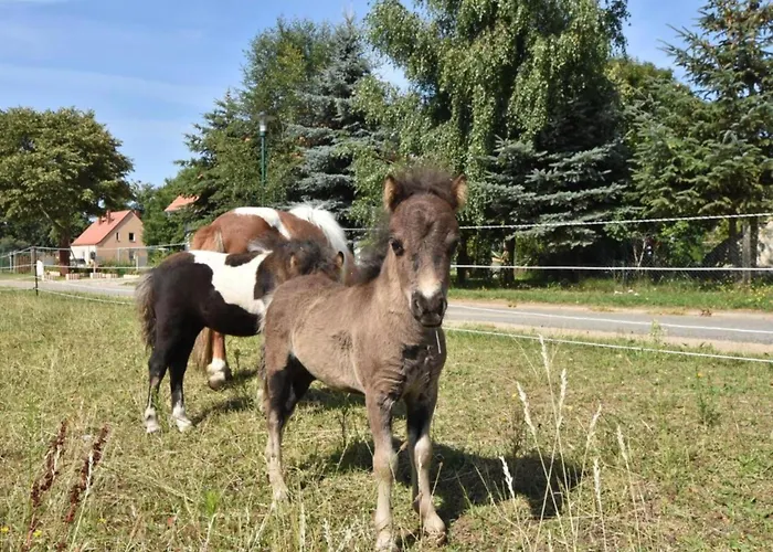 Σπίτι διακοπών Gutshof Detershagen L Kröpelin